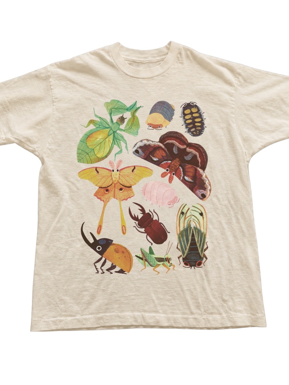 Off White Graphic Tee with Colorful Insect Prints